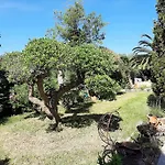 Grande Maison Familiale Avec Piscine Et Varangue A Tarnos, Proche Plages Et Commerces - Fr-1-239-779 Tarnos