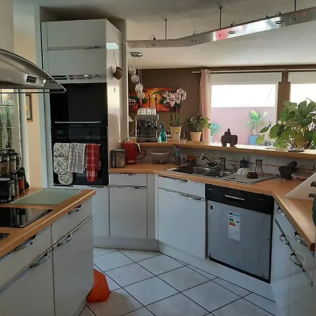 Grande Maison Familiale Avec Piscine Et Varangue A Tarnos, Proche Plages Et Commerces - Fr-1-239-779 Tarnos