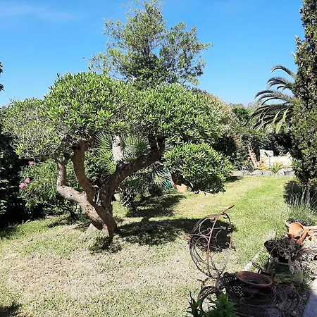 Grande Maison Familiale Avec Piscine Et Varangue A Tarnos, Proche Plages Et Commerces - Fr-1-239-779 Tarnos